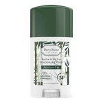 استیک ضد تعریق دیپ سنس مدل Bambo & Tea Tree وزن 40گرم